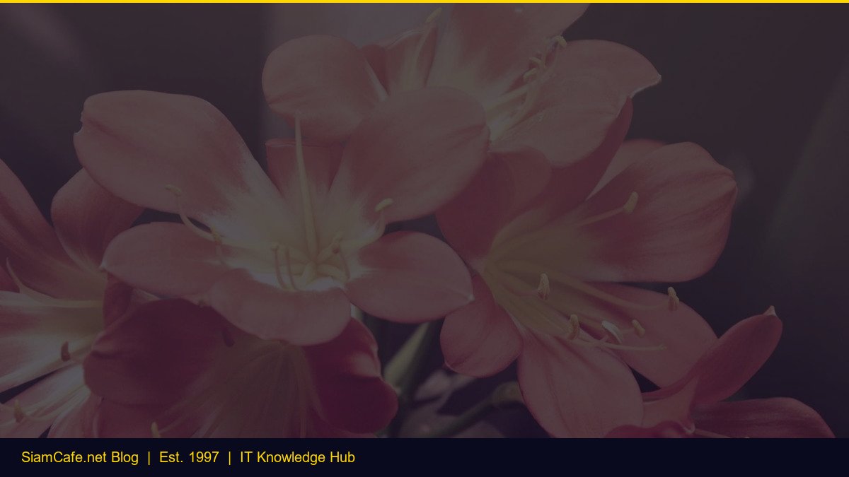 Clamav Dns Spoofing — คู่มือฉบับสมบูรณ์