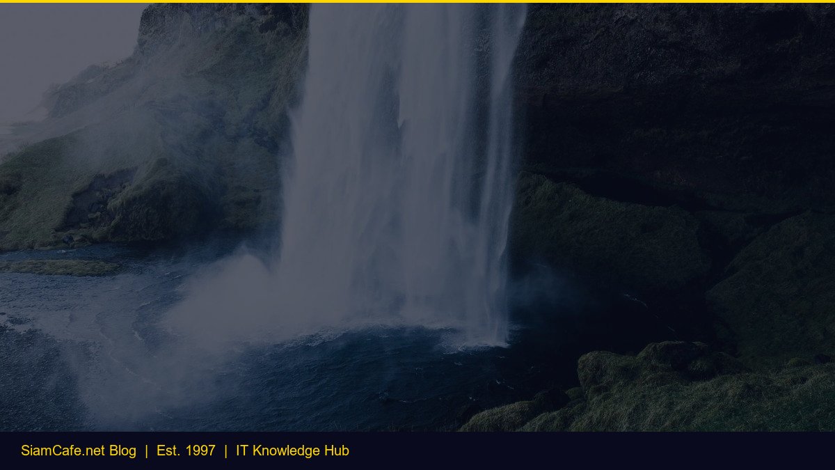 Cms Django Step by Step — คู่มือฉบับสมบูรณ์