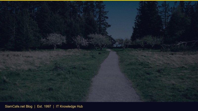 Cms Shadcn ui Step by Step — คู่มือฉบับสมบูรณ์