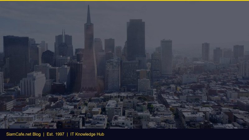 Cms Typeorm Step by Step — คู่มือฉบับสมบูรณ์