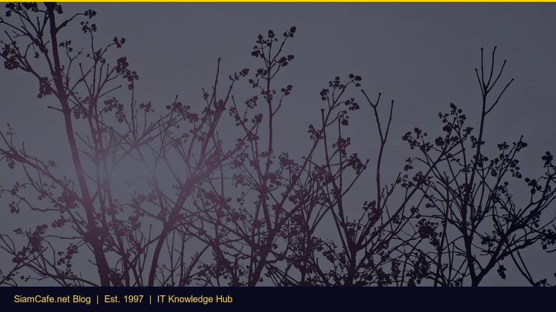 Container Orchestration K3s