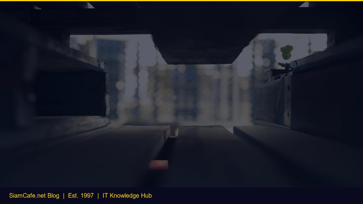 Copy Trade — คู่มือฉบับสมบูรณ์