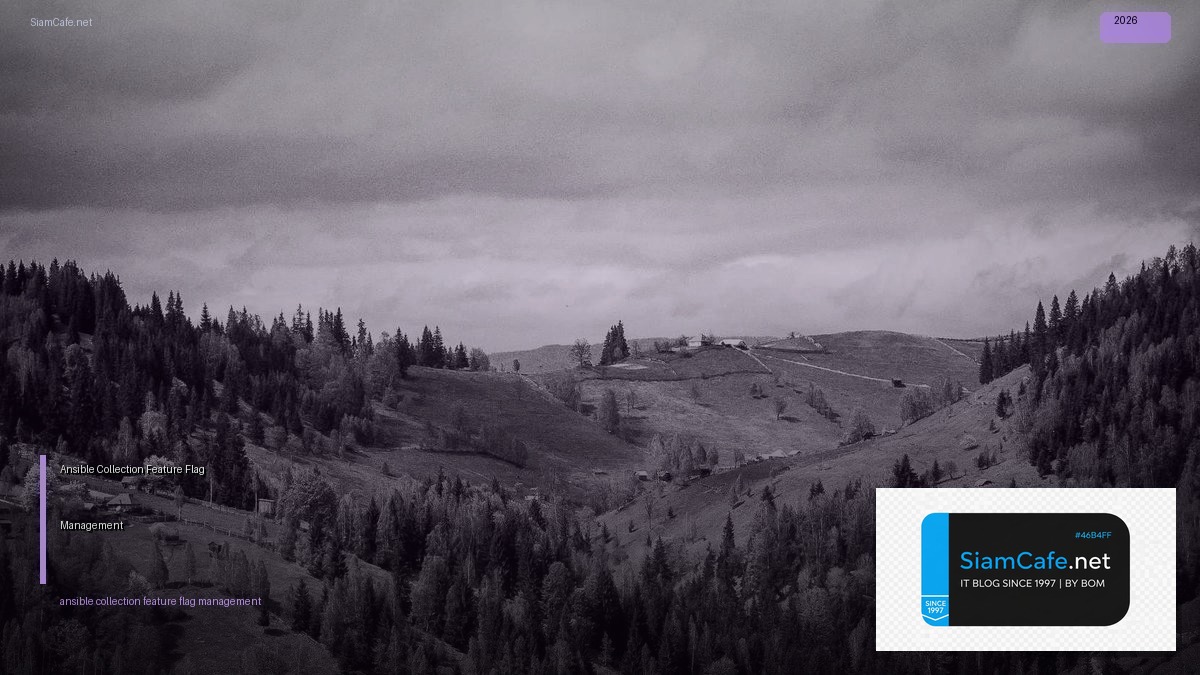 ansible collection feature flag management