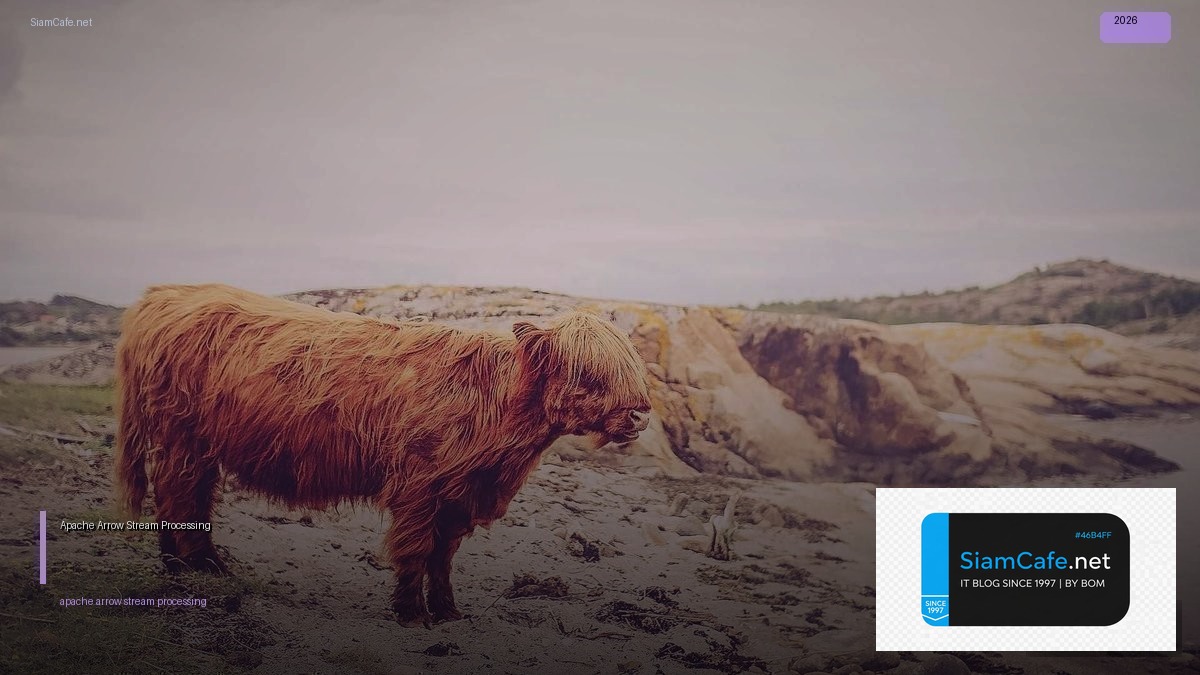 apache arrow stream processing