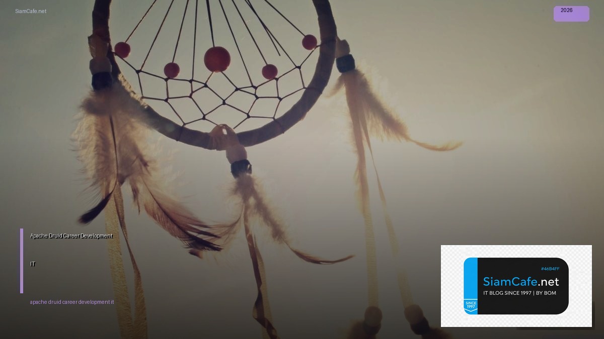 apache druid career development it