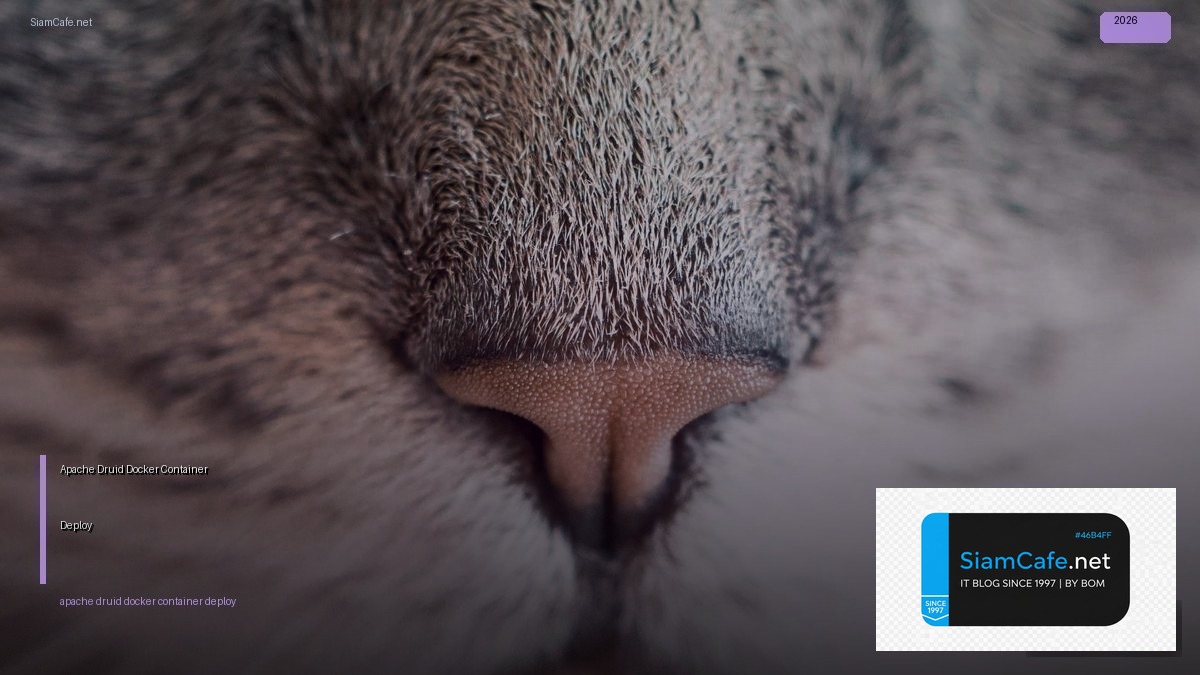 apache druid docker container deploy