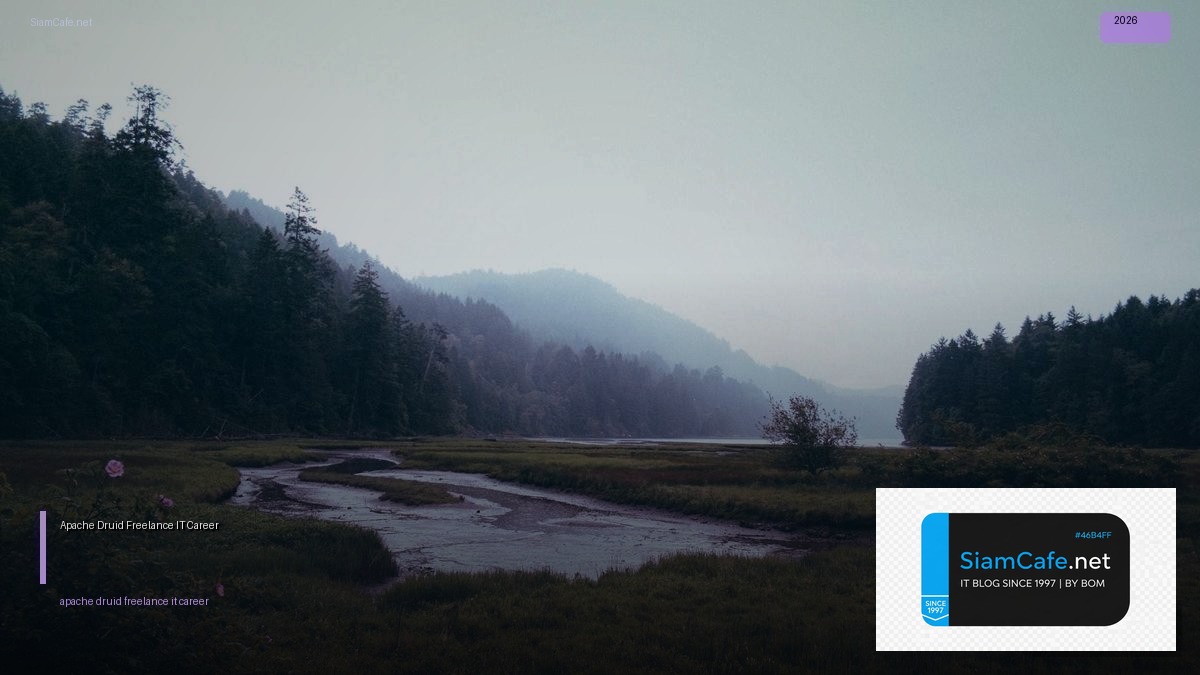 apache druid freelance it career