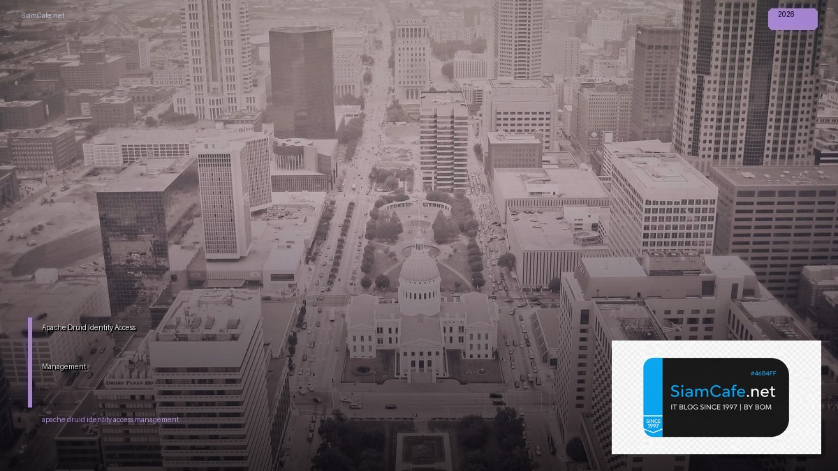 apache druid identity access management