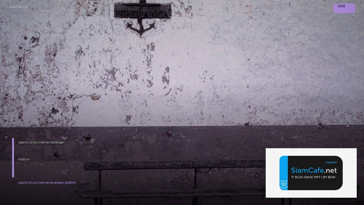 apache druid internal developer platform