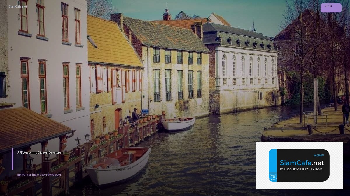api versioning citizen developer