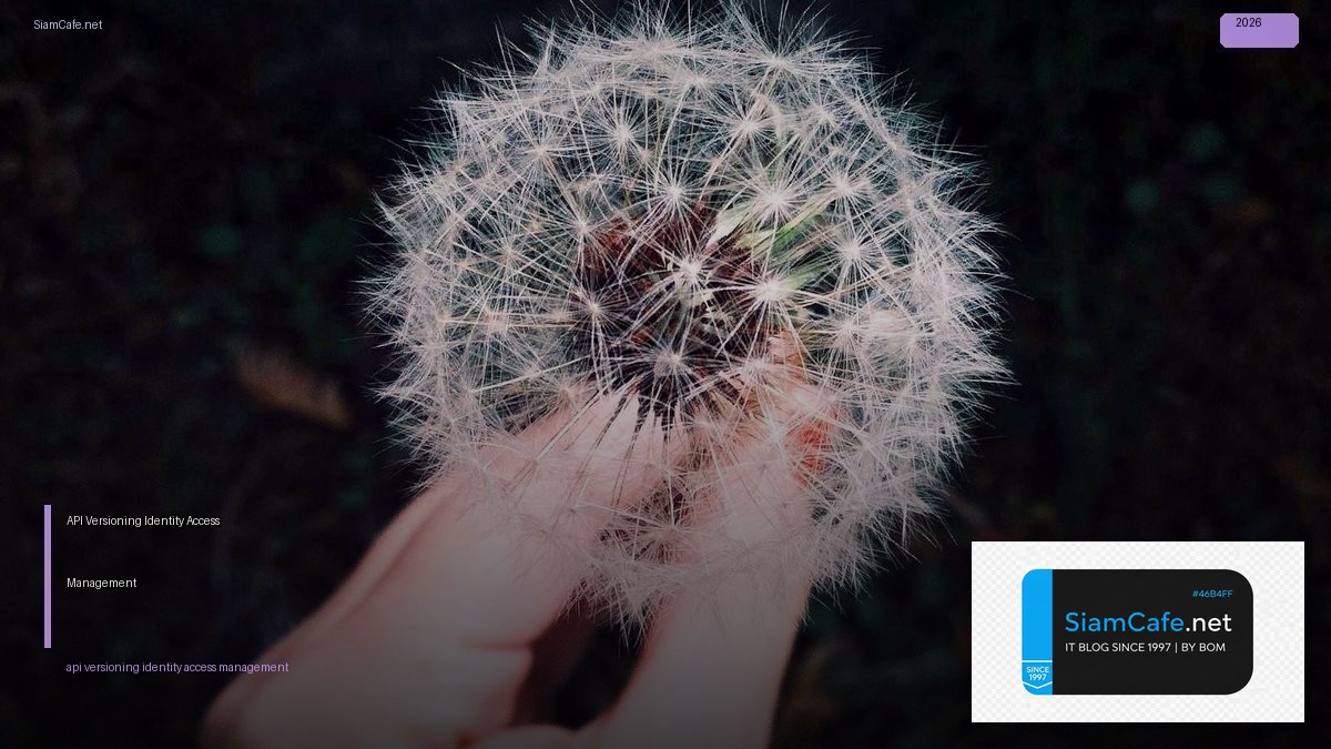 api versioning identity access management