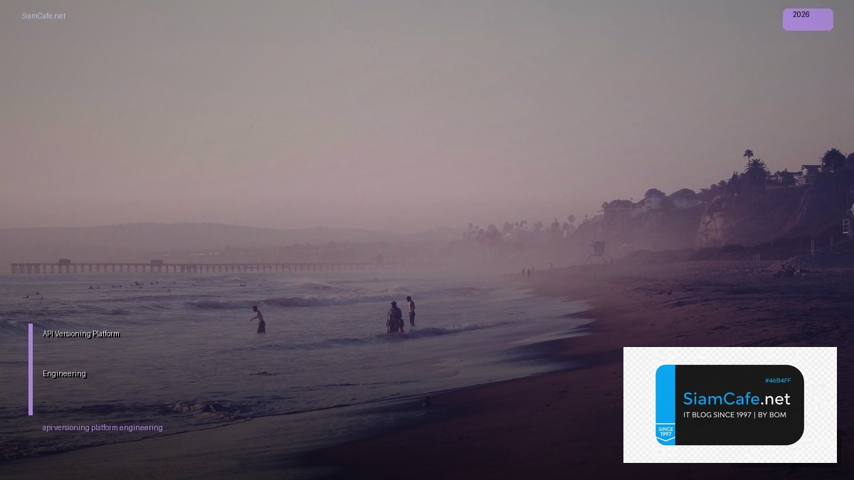 api versioning platform engineering