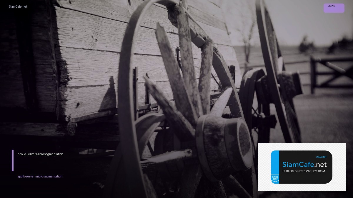 apollo server micro segmentation