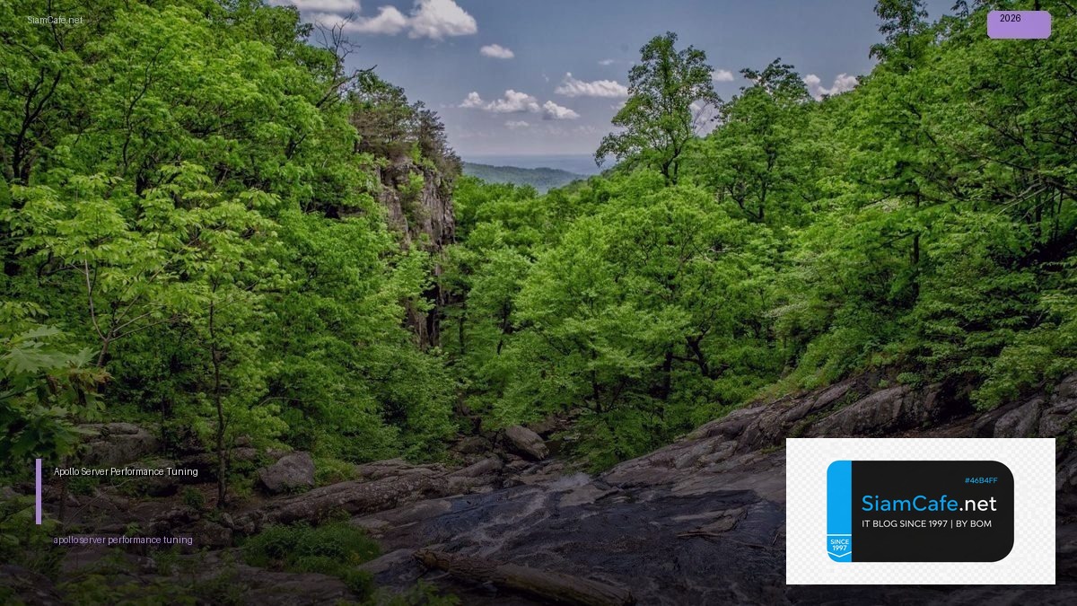 apollo server performance tuning เพมความเรว