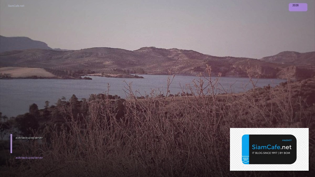 auto backup sql server 2016