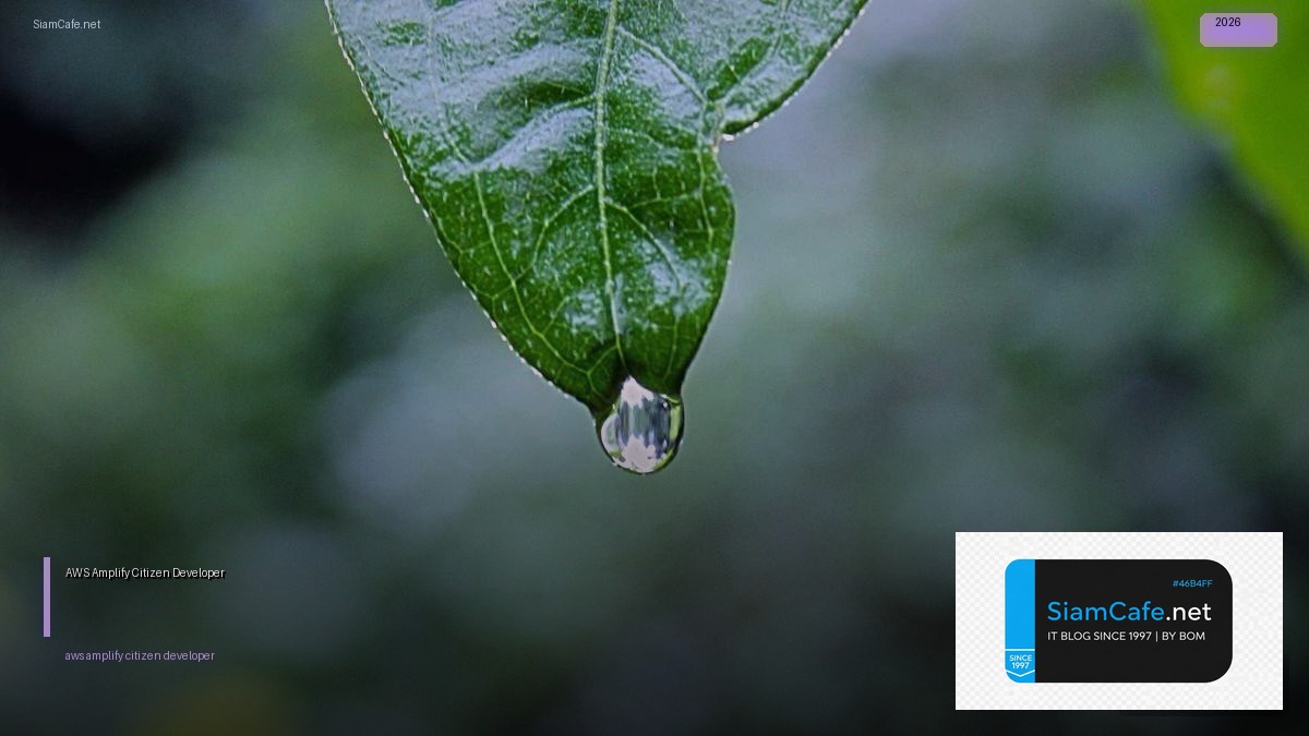 aws amplify citizen developer