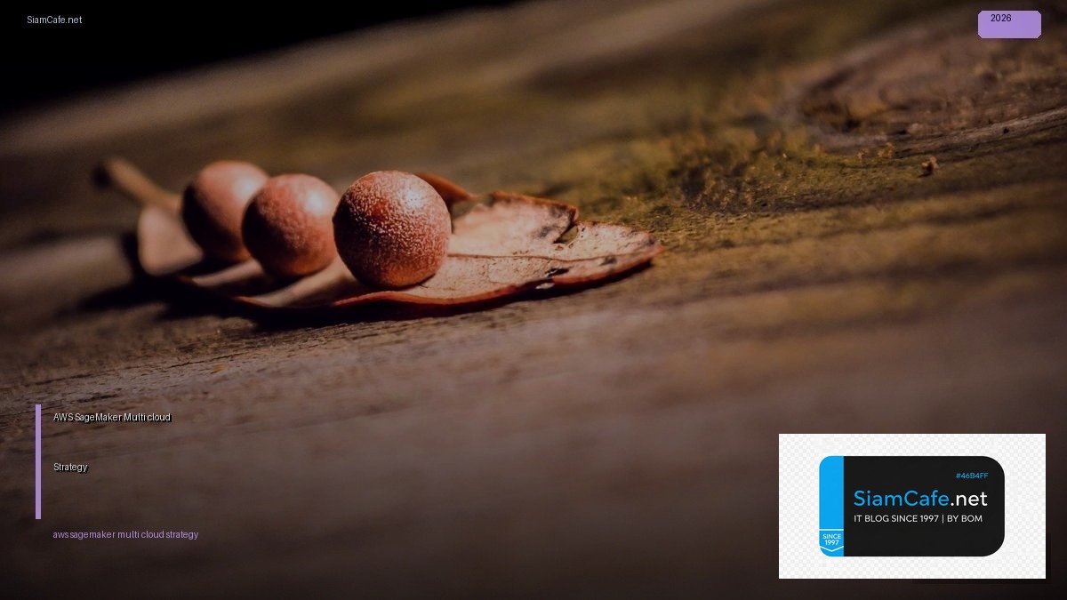 aws sagemaker multi cloud strategy