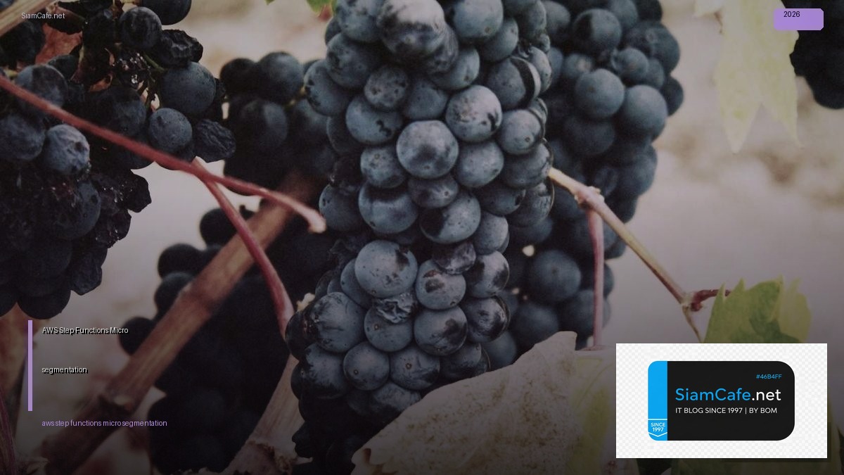 aws step functions micro segmentation