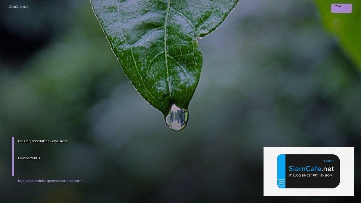 bigquery scheduled query career development it