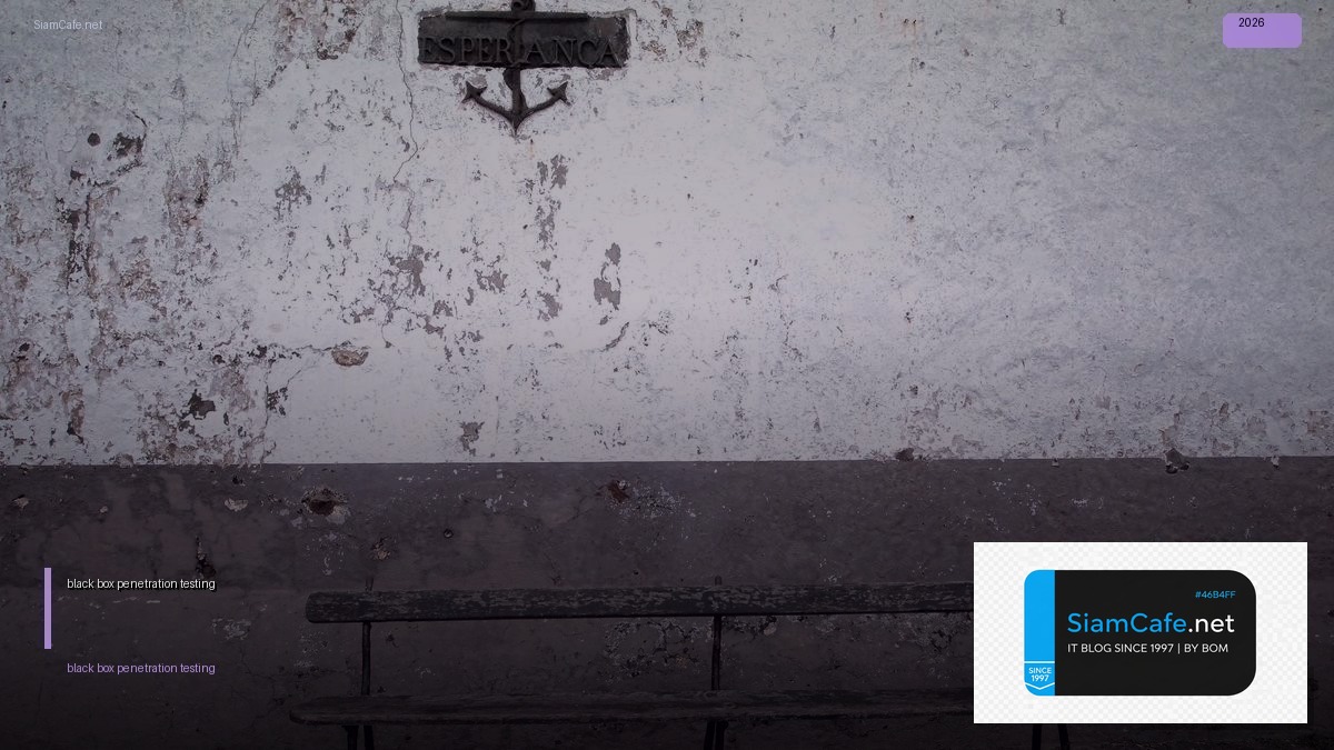 black box penetration testing