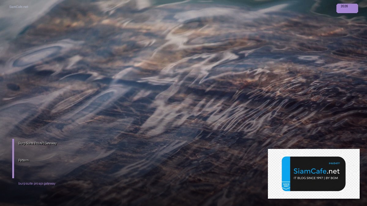 burp suite pro api gateway pattern