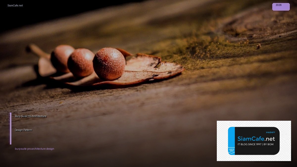 burp suite pro architecture design pattern