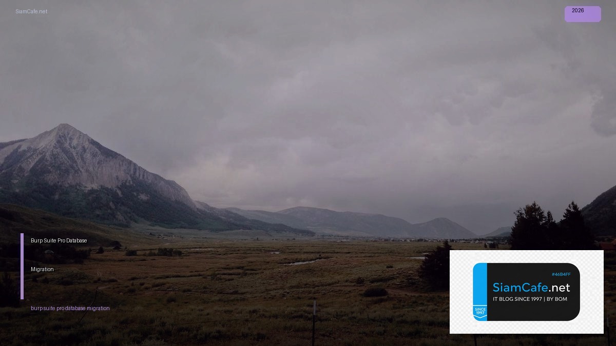 burp suite pro database migration