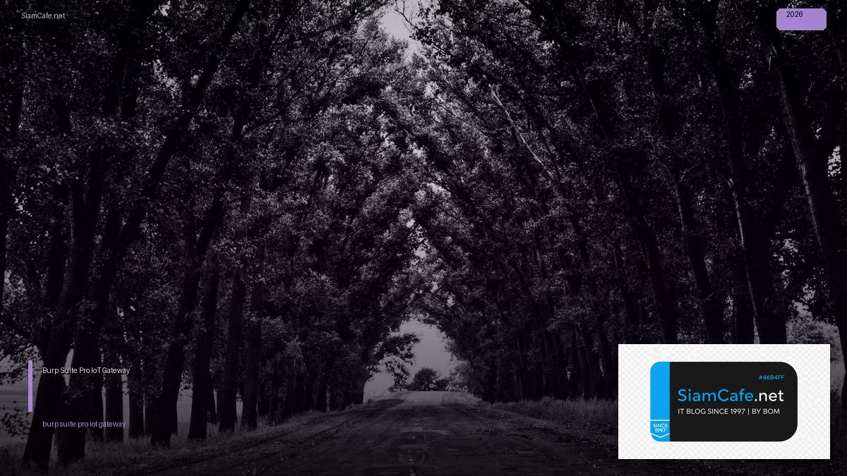 burp suite pro iot gateway