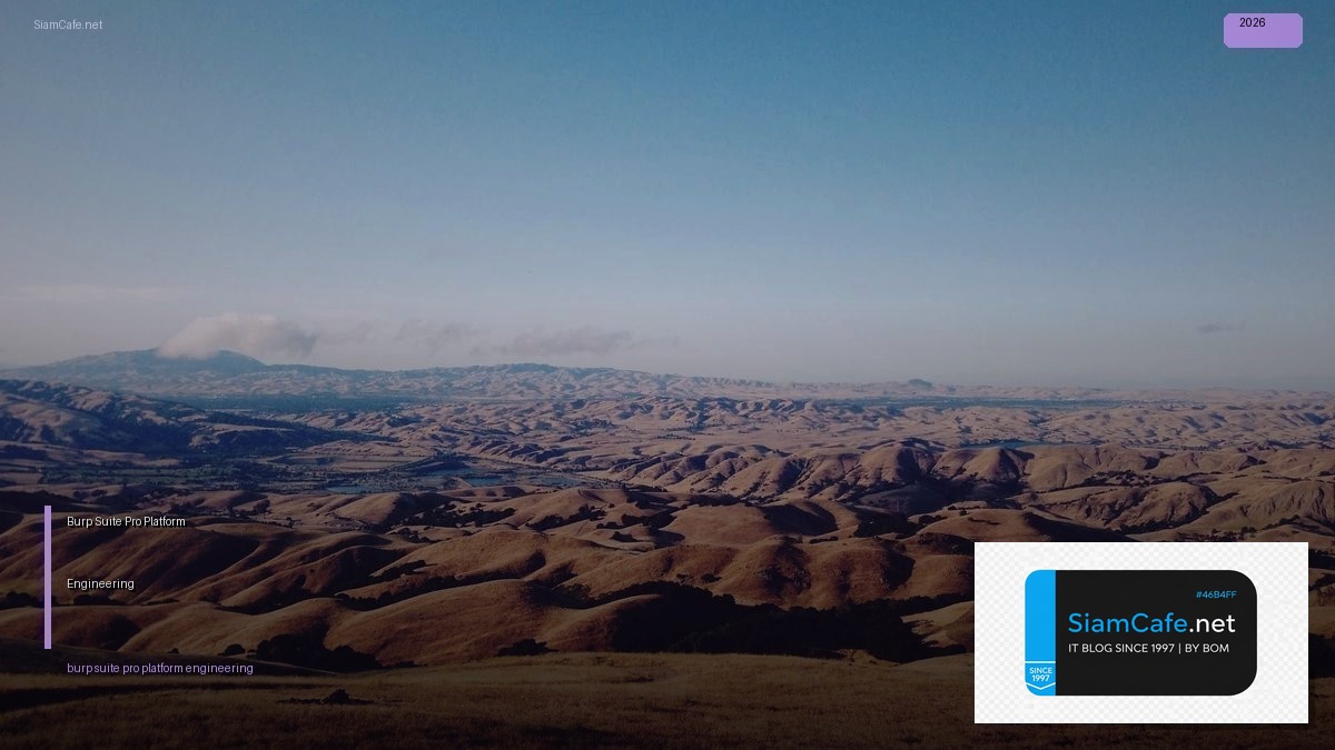 burp suite pro platform engineering