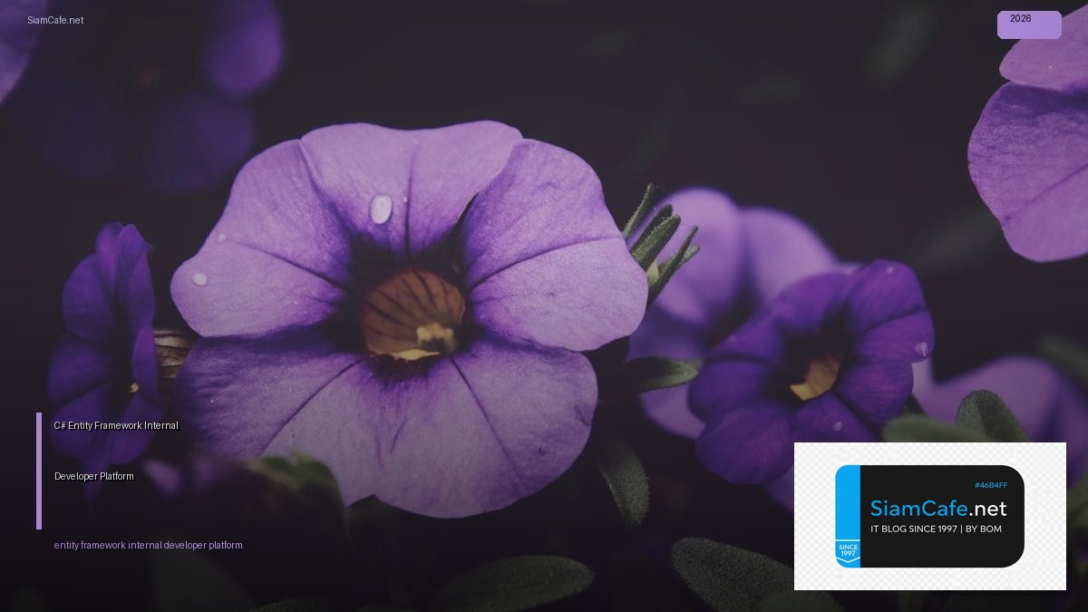 c entity framework internal developer platform