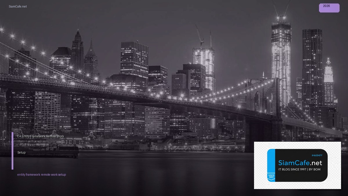 c entity framework remote work setup