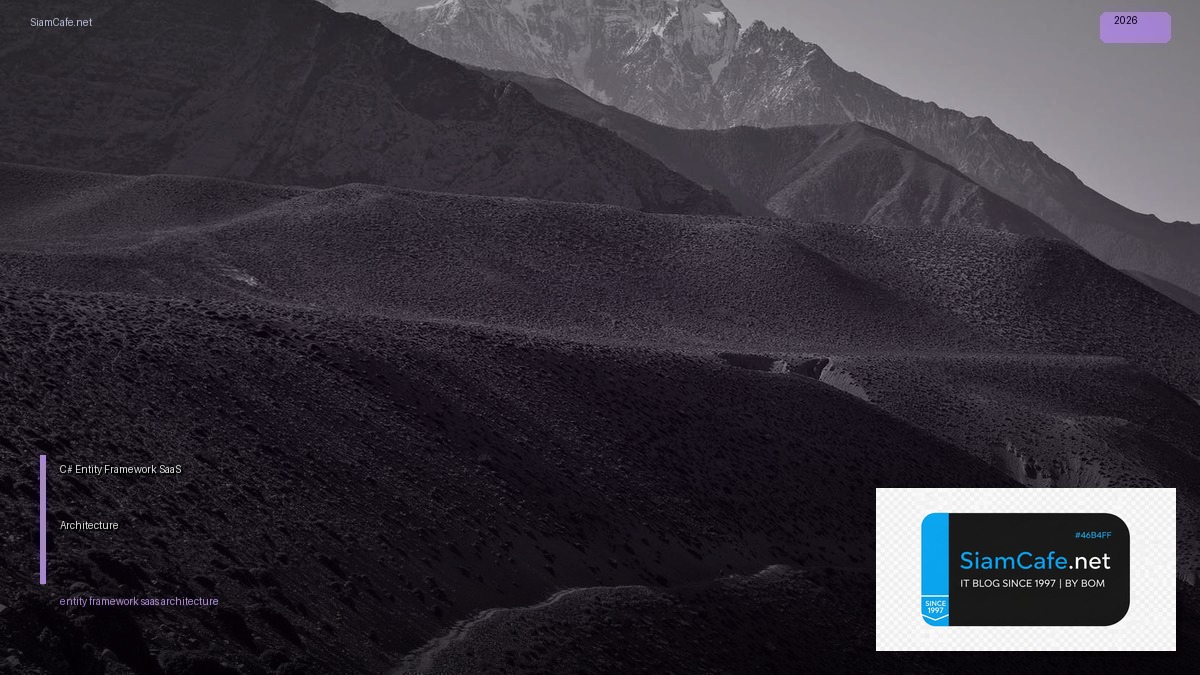 c entity framework saas architecture