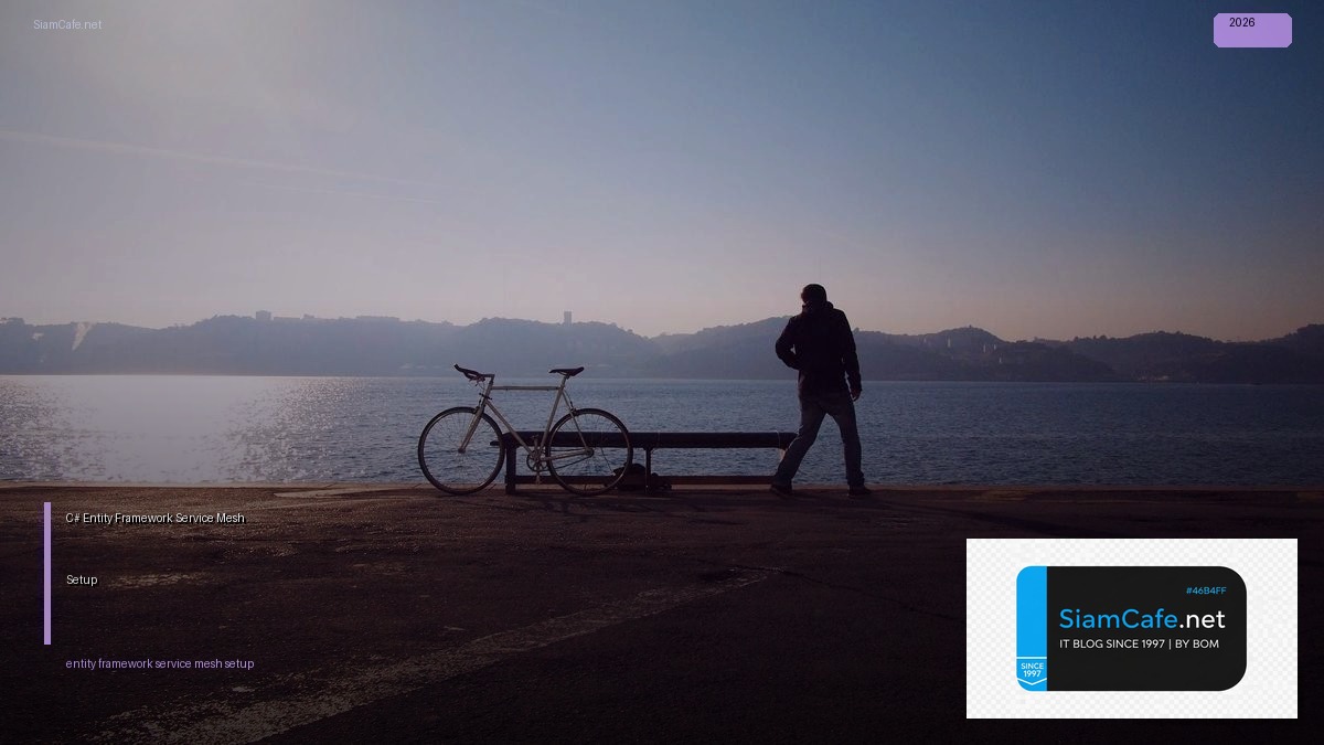 C# Entity Framework Service Mesh Setup | SiamCafe Blog