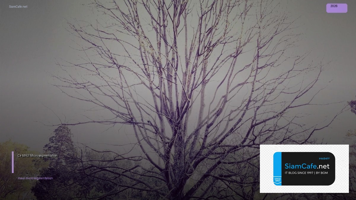 c maui micro segmentation