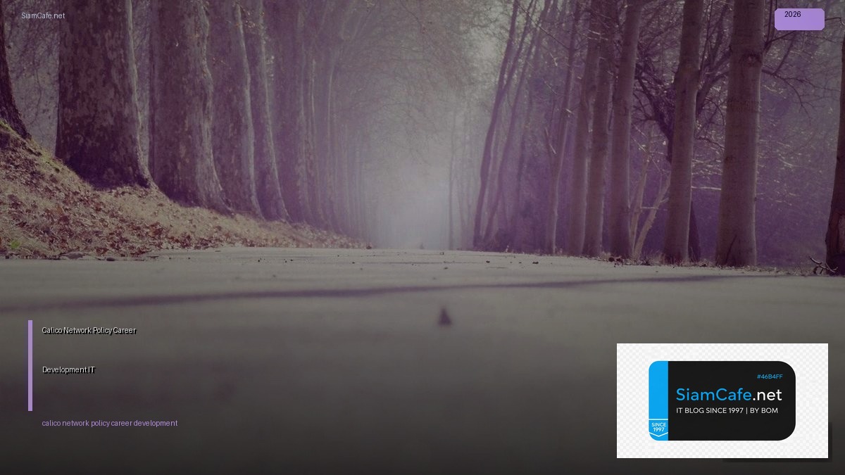 calico network policy career development it