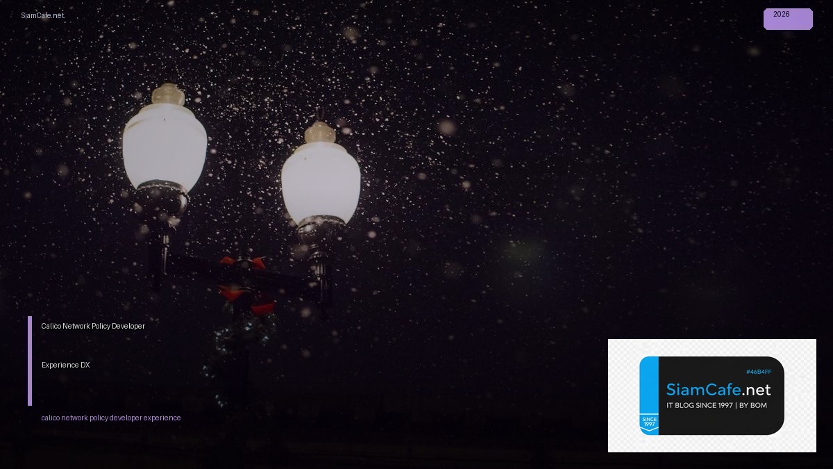 calico network policy developer experience dx