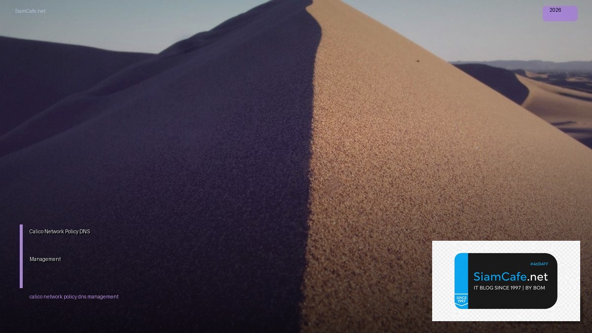 calico network policy dns management