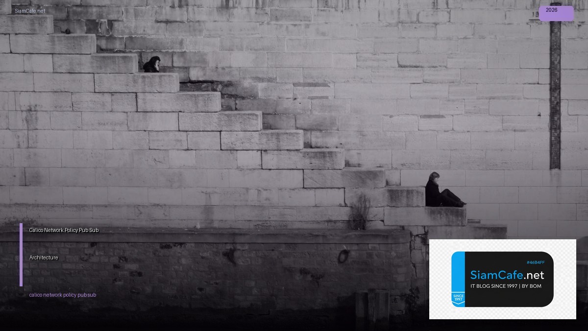 calico network policy pub sub architecture