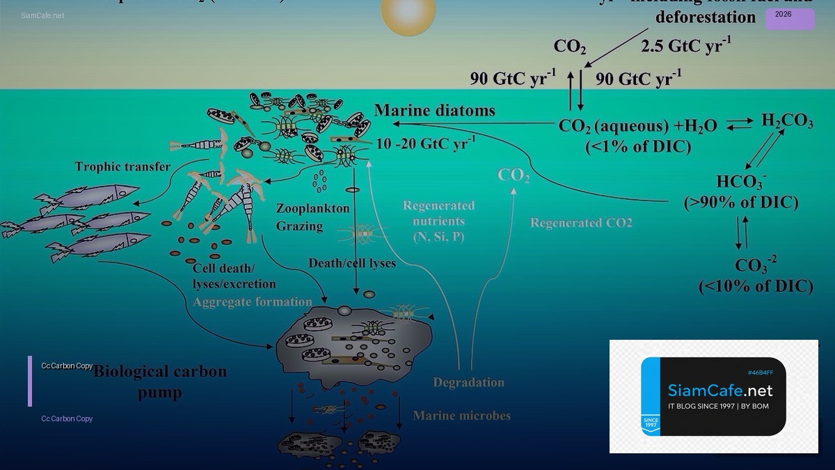 Cc คืออะไร — ความหมาย Carbon Copy ในอีเมล ฉบับสมบูรณ์ | SiamCafe Blog