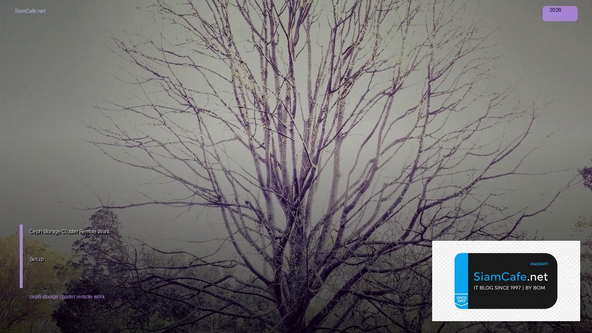 ceph storage cluster remote work setup