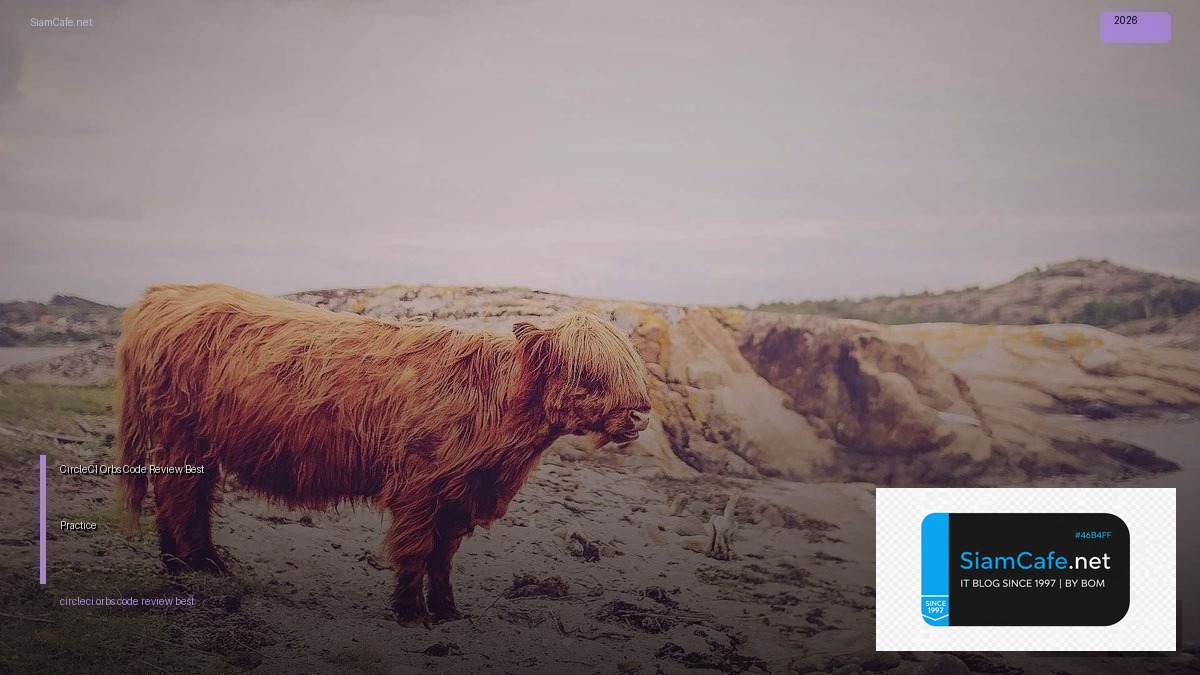 circleci orbs code review best practice