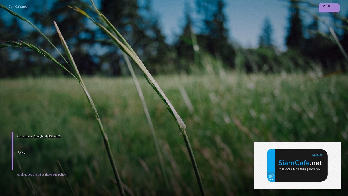 ClickHouse Analytics RBAC ABAC Policy | SiamCafe Blog