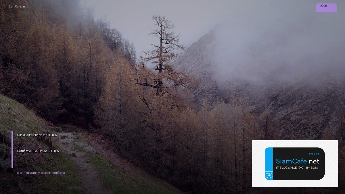 clickhouse analytics ssl tls certificate