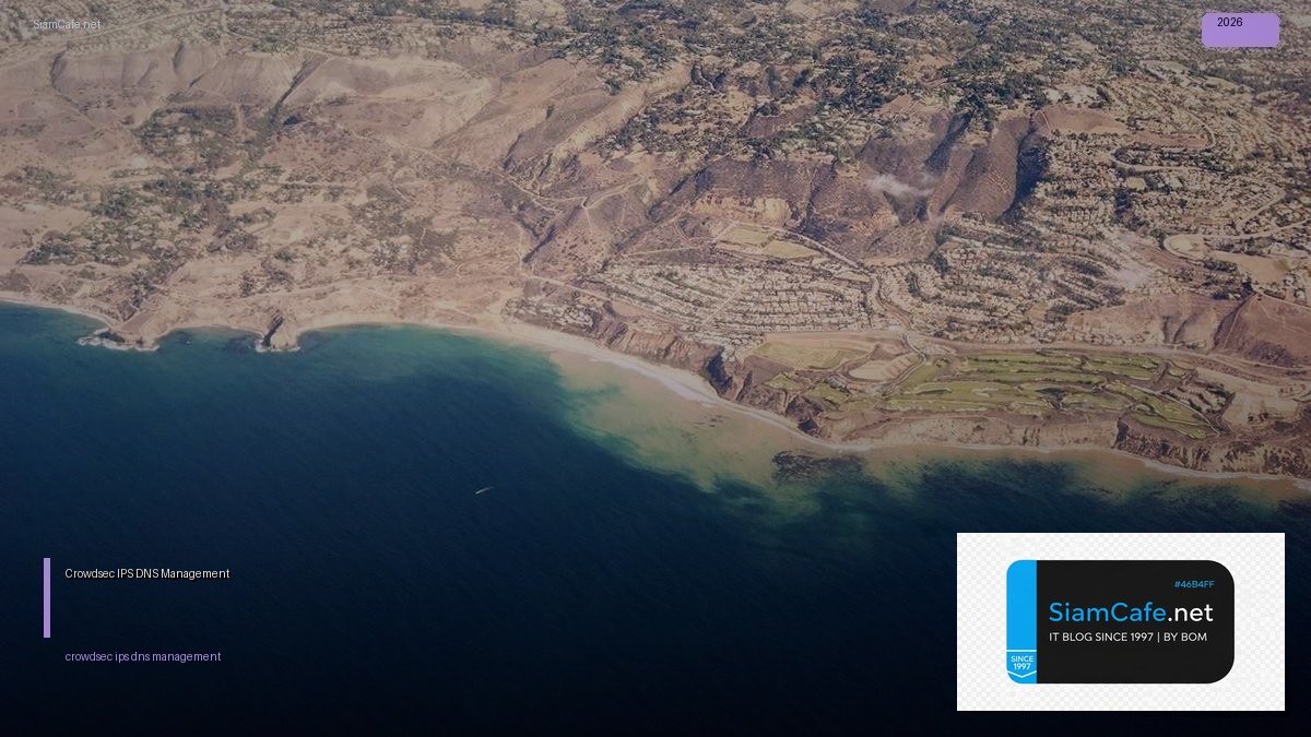 crowdsec ips dns management