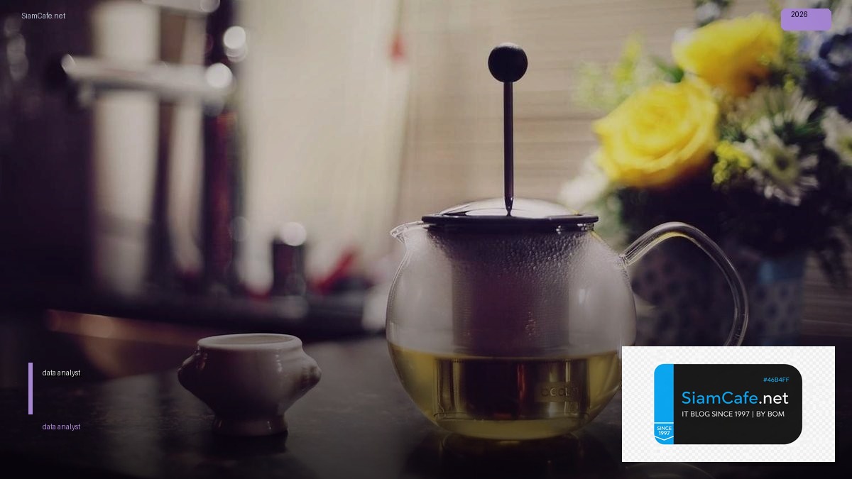 data analyst ทําอะไรบ้าง | SiamCafe Blog