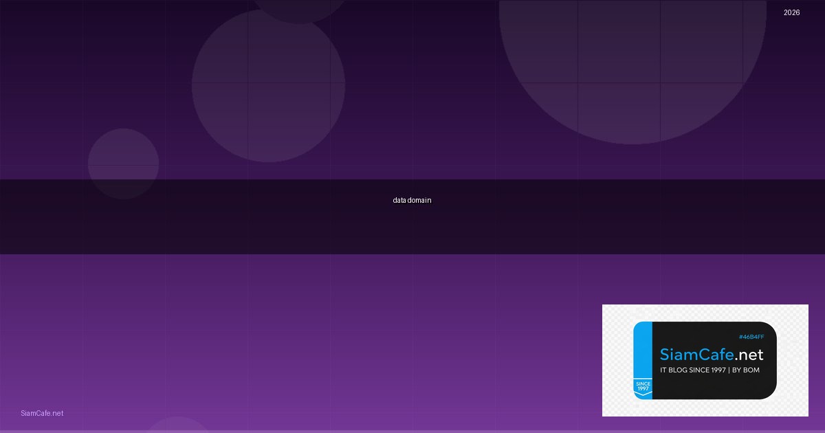 data domain คือ | SiamCafe Blog