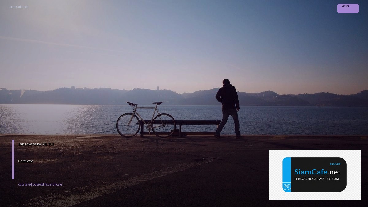 data lakehouse ssl tls certificate