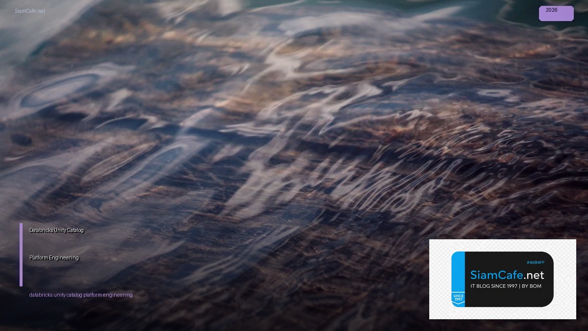 databricks unity catalog platform engineering