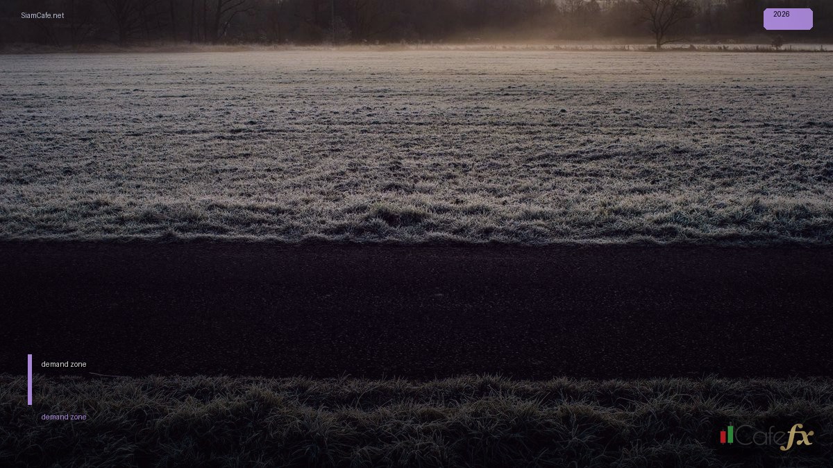 demand zone คือ — วิธีตั้งค่าและใช้งานจริงพร้อมตัวอย่าง