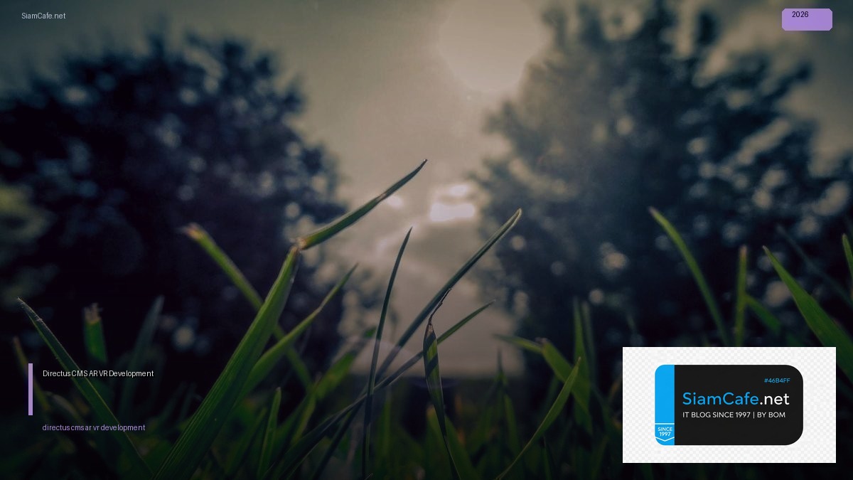 directus cms ar vr development